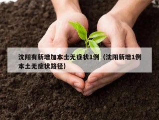 沈阳有新增加本土无症状1例（沈阳新增1例本土无症状路径）